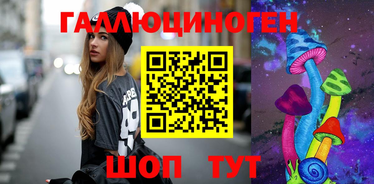 Богородск  Галлюциногенные грибы Psilocybe  Вход с VPN  Галлюциногенные грибы Psilocybe 