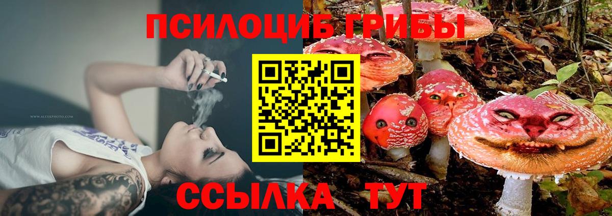 Галлюциногенные грибы Cubensis Богородск